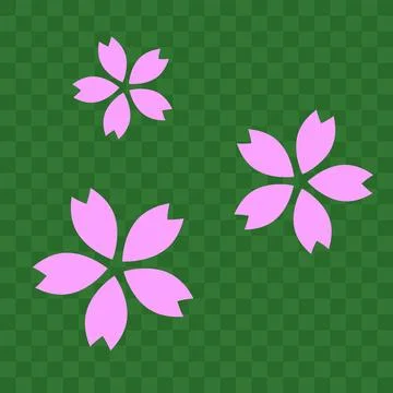 Cherry blossoms isolated on a green transparent background. Vector. Illustrazione stock