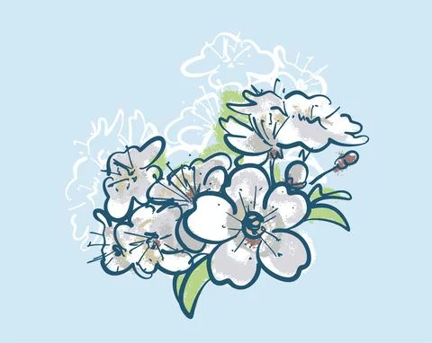 Cherry blossoms or a sprig of cherry blossom. Sketch on an isolated background. Stock Illustration