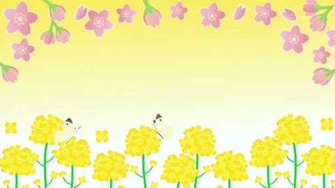 Cherry blossoms Rape field and butterfly animated background Stock Footage 169199687