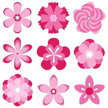 Cherry blossoms of sakura Illustrazione stock