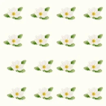 Cherry blossoms seamless pattern design for fabric and wrapping paper Stock Illustration