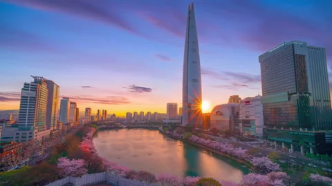 Cherry blossoms in Spring colorful after sunset at Lotte World Tower in Seoul Stock Footage 195301962