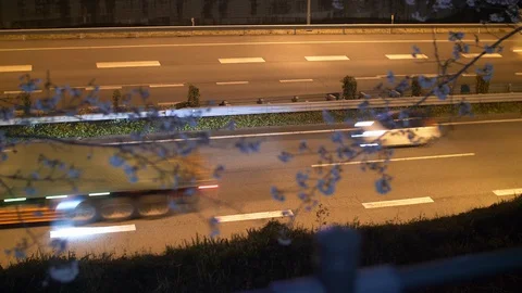 Cherry Blossoms Swaying in the Wind with Highways in the Background Stock-Footage 87720999