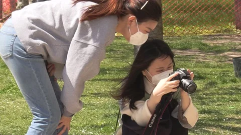 Cherry blossoms in Toronto during COVID 19 pandemic lockdown Stockbeeldmateriaal 152959659