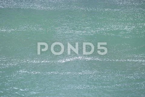 Cherry blossoms on water Stock Photos