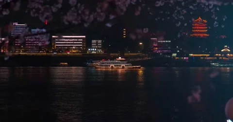 Cherry blossoms in Wuhan in spring 库存影片 232082354