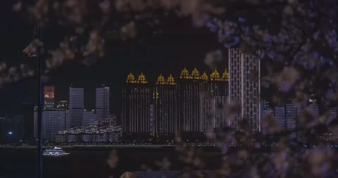 Cherry blossoms in Wuhan in spring Stock Footage 232082644