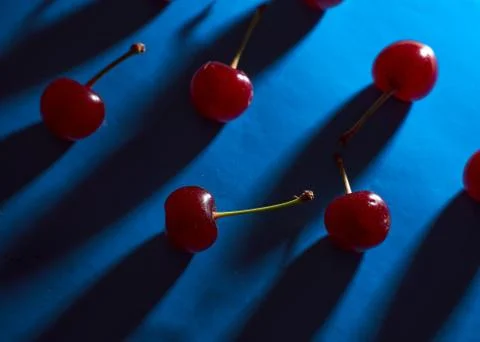 Cherry on blue background with shadows effect Stock Photos