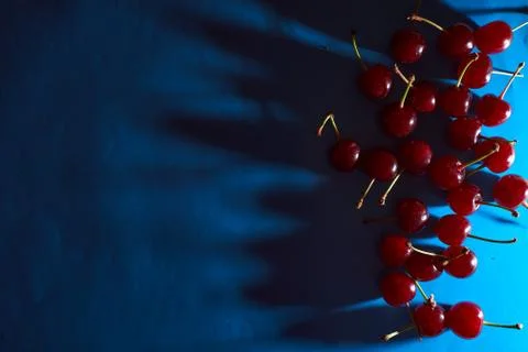Cherry on blue background with shadows effect Stock Photos