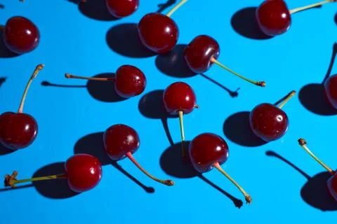 Cherry on blue background with shadows effect Stock Photos