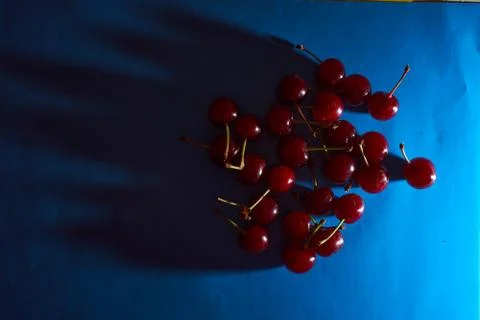 Cherry on blue background with shadows effect 스톡 사진