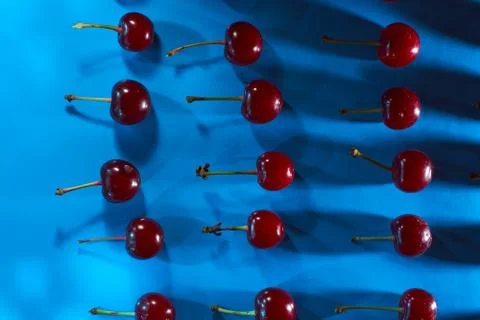 Cherry on blue background with shadows effect Stock Photos