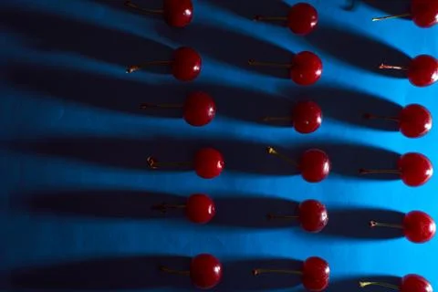 Cherry on blue background with shadows effect Stock Photos