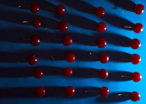 Cherry on blue background with shadows effect Stock Photos