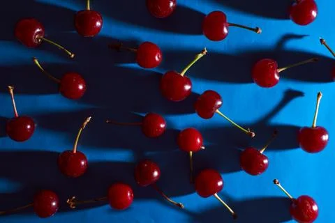 Cherry on blue background with shadows effect Stock Photos