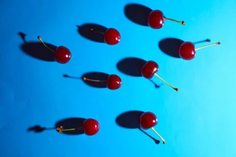 Cherry on blue background with shadows effect Stock Photos