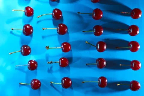 Cherry on blue background with shadows effect Stock Photos