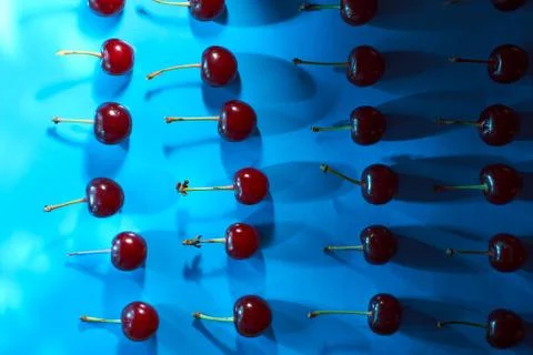 Cherry on blue background with shadows effect Stock Photos