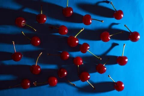 Cherry on blue background with shadows effect Stock Photos
