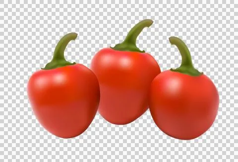 Cherry-bomb-chilli pepper on white background Stock Illustration