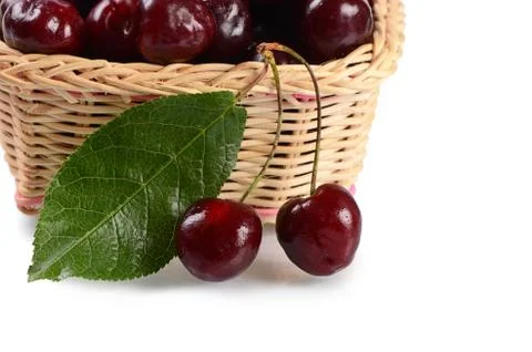 The cherry on branch with leaves Stock Photos