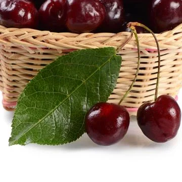 The cherry on branch with leaves Stock Photos