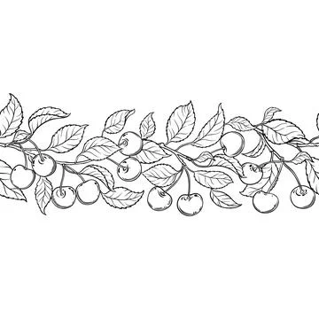 Cherry Branch Outline Horizontal Seamless Pattern. Stock Illustration