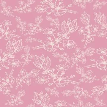 Cherry branch pattern with flowers of delicate color on a pink background Stock Illustration