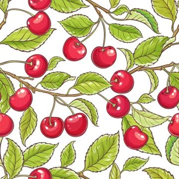 Cherry branch vector pattern Stock Illustration