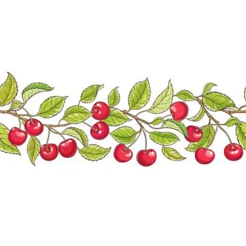 Cherry branch vector pattern Stock Illustration