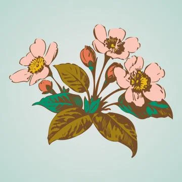 Cherry branches with flowers, sakura vector illustration Stock Illustration