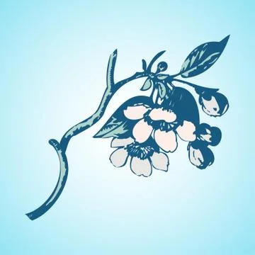 Cherry branches with flowers, sakura vector illustration Stock Illustration