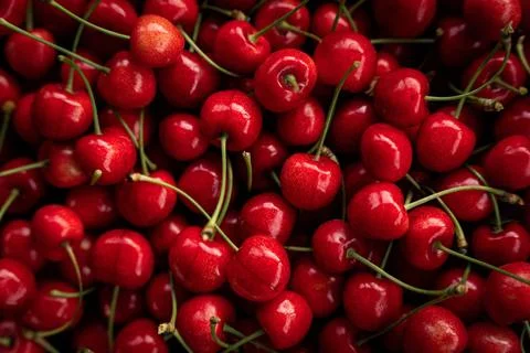 Cherry, bunch of red cherries, fresh juicy fruit, full composition, top view Stock Photos
