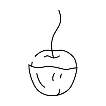 Cherry in chocolate line icon vector illustration イラスト素材