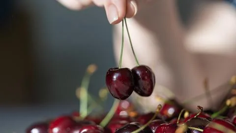 Cherry close-up macro. with natural light. Stock Photos