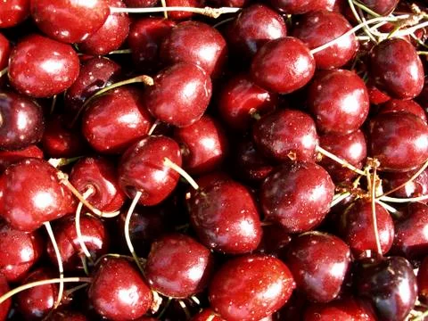 Cherry close up Foto stock