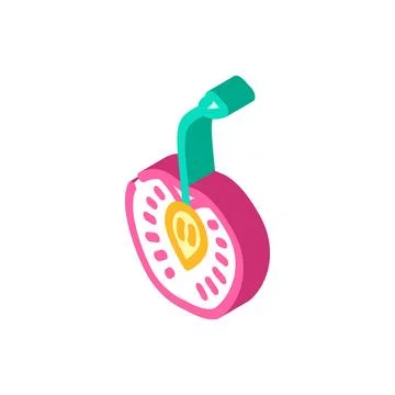 Cherry cut isometric icon vector illustration イラスト素材