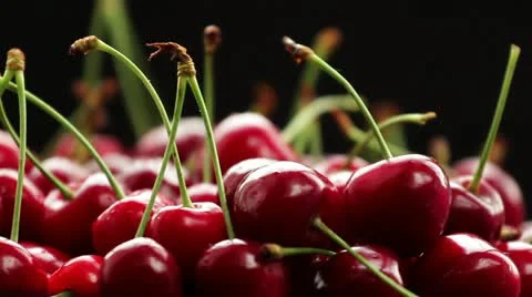 Cherry on a dark background Stock Footage 21241537