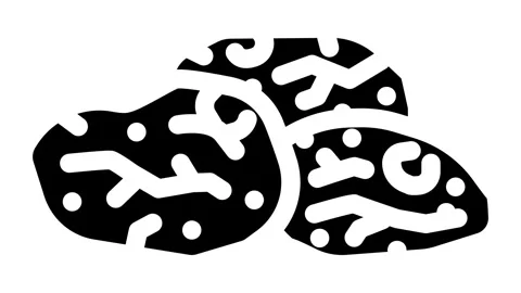 Cherry dried fruit glyph icon animation Stock Footage 326745624