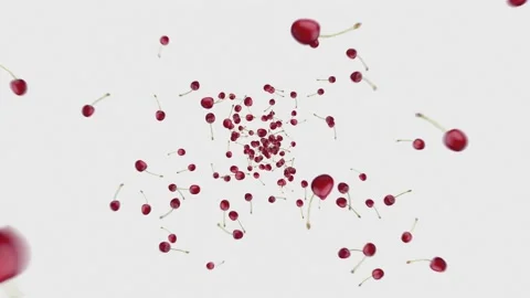 Cherry explosion on white background Stock Footage 197367772
