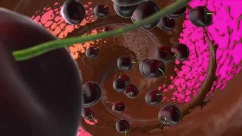 Cherry falling. Hot chocolate. Rotation. A delicacy. View from above. Stock Footage 256018936