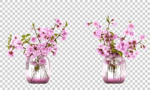 Cherry flower clipping path isolated cherry flower cheery flower in a jar cherry Stock Photos