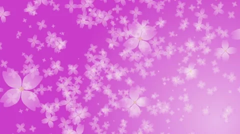 Cherry flower particle background Stock Footage 11147062