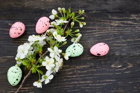 Cherry flowers and Easter eggs Stock Photos