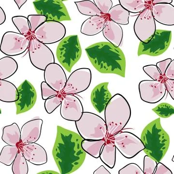 Cherry flowers. Seamless pattern. Vector illustration eps 10. Stock Illustration