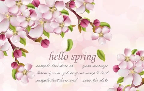 Cherry flowers Spring background Vector. Pink floral branches with place for  Stock Illustration