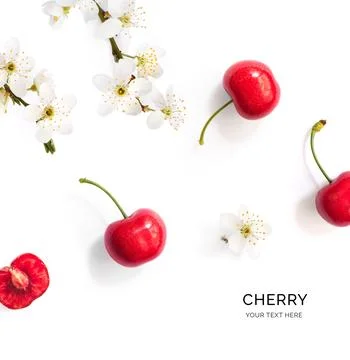 Cherry flowers white Foto stock