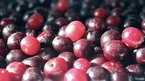 Cherry Stock Footage 7905284