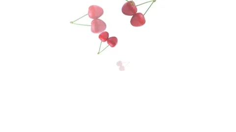 Cherry 스톡 동영상 8646491