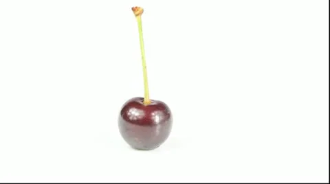 Cherry Stock Footage 11145916